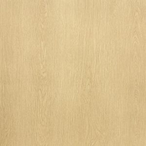 BZ884 Full Width 2