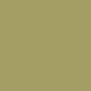 S200 Olive Green Interior Film - Solid Color Collection