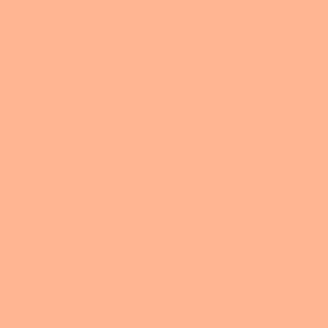 S213 Peach Interior Film - Solid Color Collection