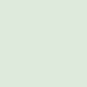 S214 Mint Green Interior Film - Solid Color Collection
