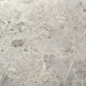 PM008 Close Up