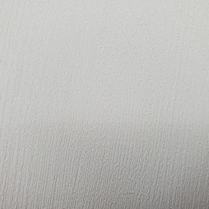 PNT01 Close Up