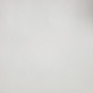 PNT01 Full Width