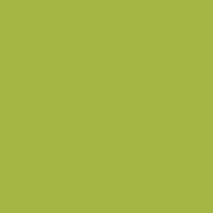 Bodaq S219 Interior Film - Solid Color Collection