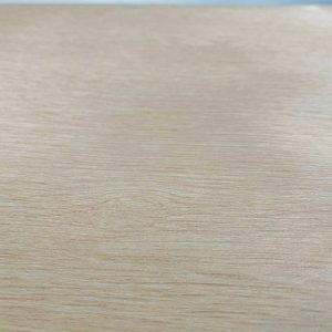 SPW43 Close up