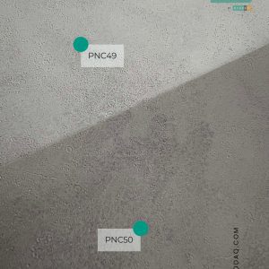 The difference between PNC49 and PNC50