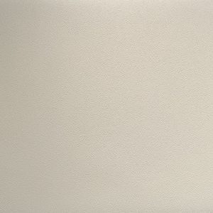 PNC42 Stone Beige Concrete Close Up