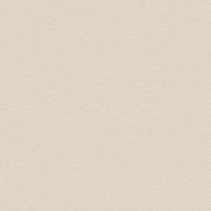 PNC42 Stone Beige Concrete - Basic Collection
