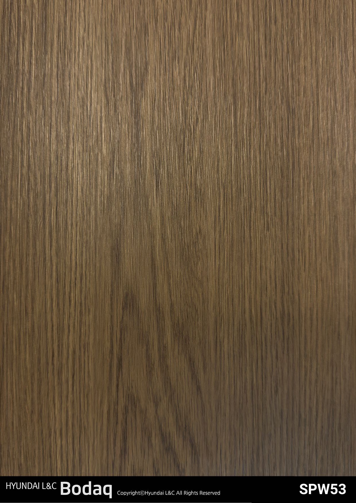 SPW53 Walnut Interior Film - Origin Wood Collection 1 Bodaq SPW53