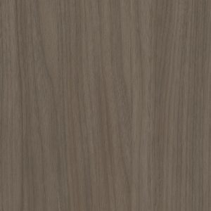 W954_NEW