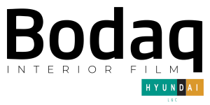Logo Bodaq